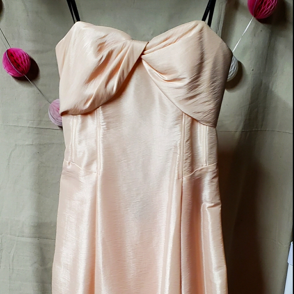 Special Ocassion Strapless Dress NWT